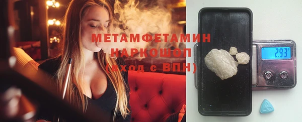 шишки Осинники