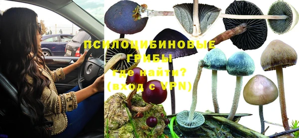сатива Остров
