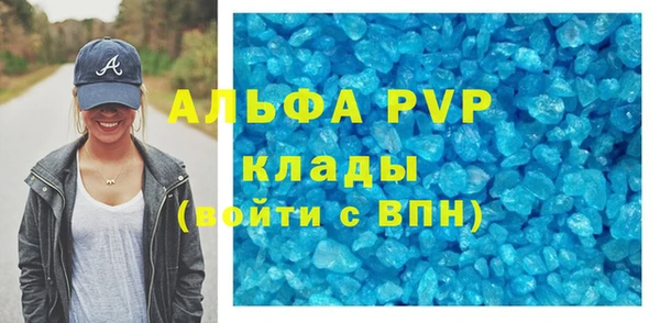 шишки Осинники
