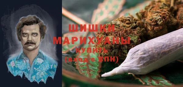 шишки Осинники