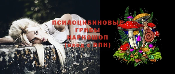 сатива Остров