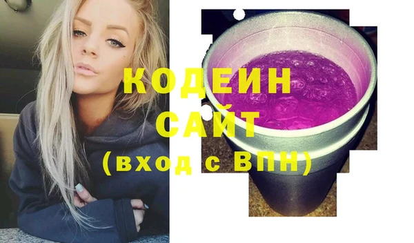 шишки Осинники