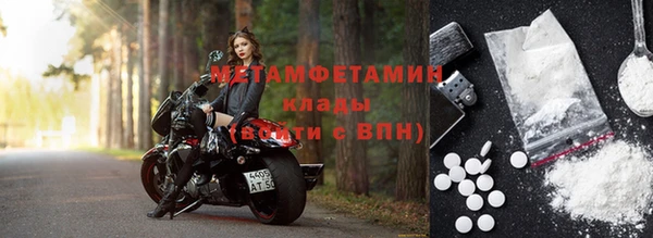 шишки Осинники