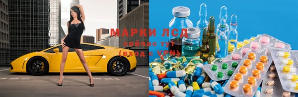 шишки Осинники