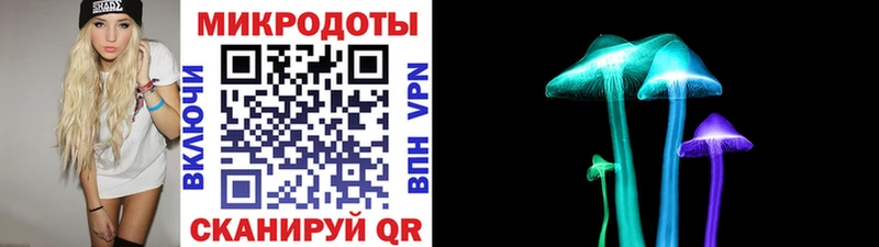 Купить закладки  Щёкино  Галлюциногенные грибы мухоморы