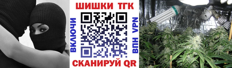 Каннабис OG Kush  Купить  Щёкино 
